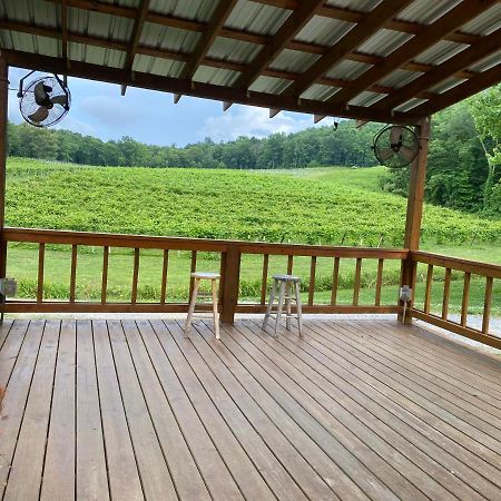 Eagle Mountain River Retreat Ellijay Exterior foto